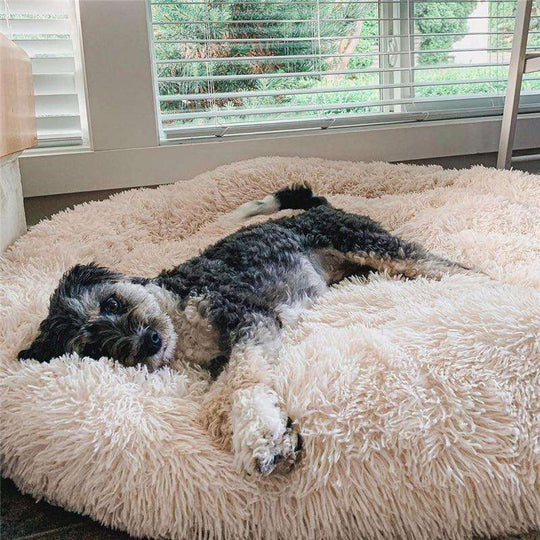 Relaxed Zipper Dog Bed